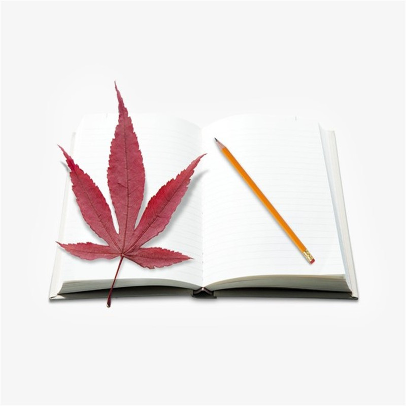绿色环保的石头纸